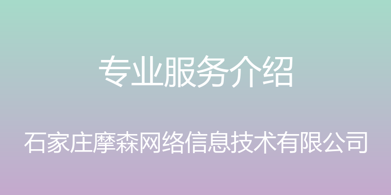 专业服务介绍 - 石家庄摩森网络信息技术有限公司