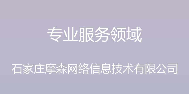 专业服务领域 - 石家庄摩森网络信息技术有限公司